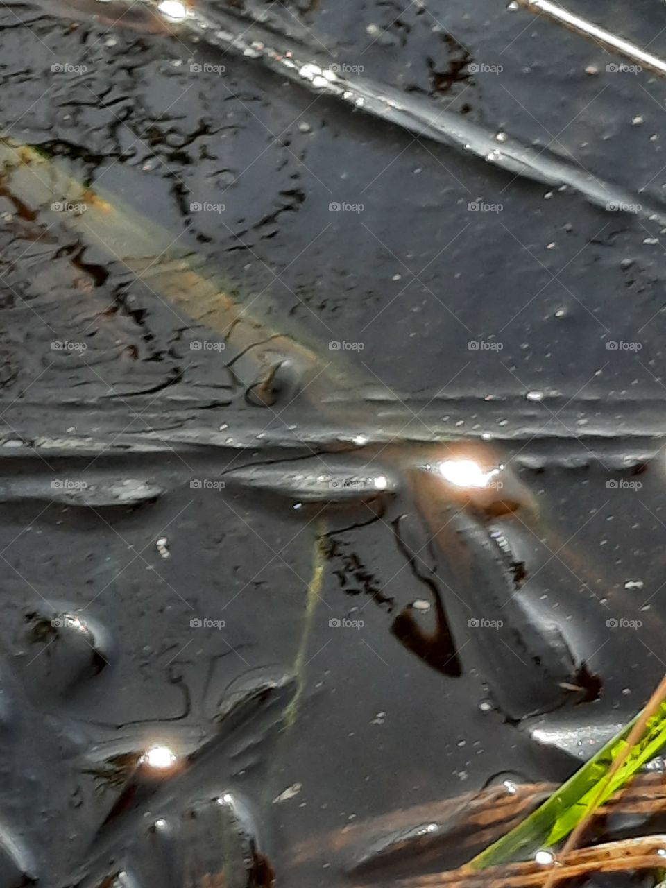 autumn garden  - formation of ice in water container after first frost