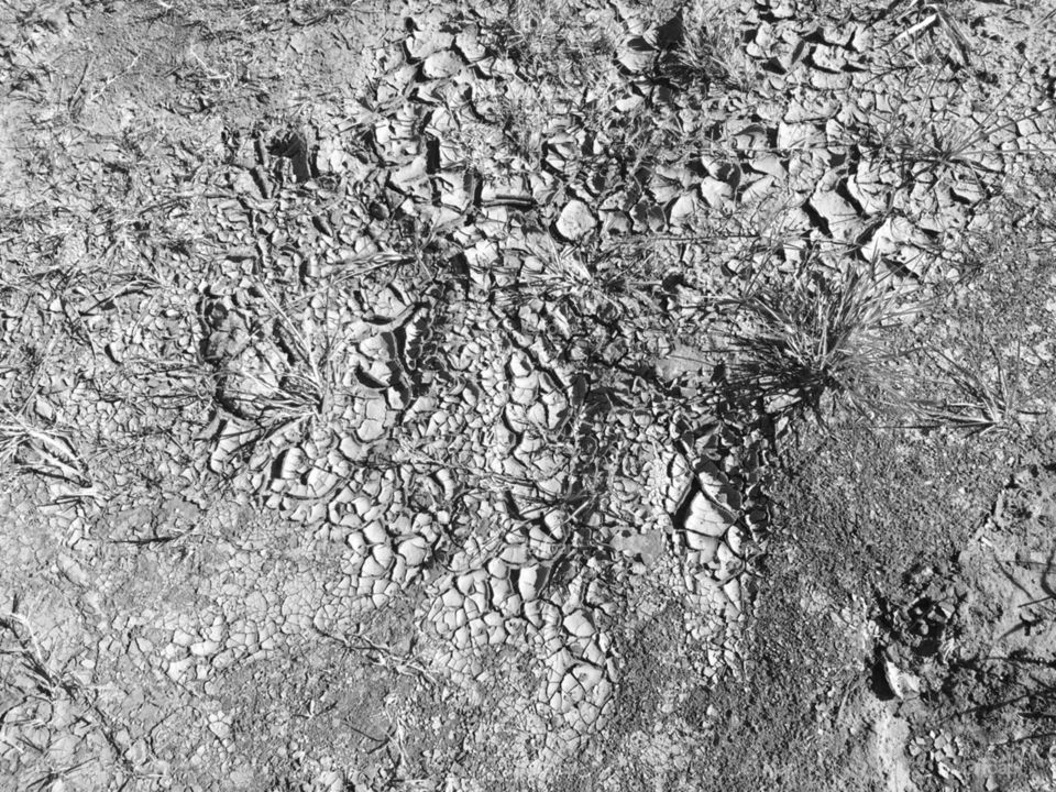 Dirt and concrete so dry it looks like It’s from Space