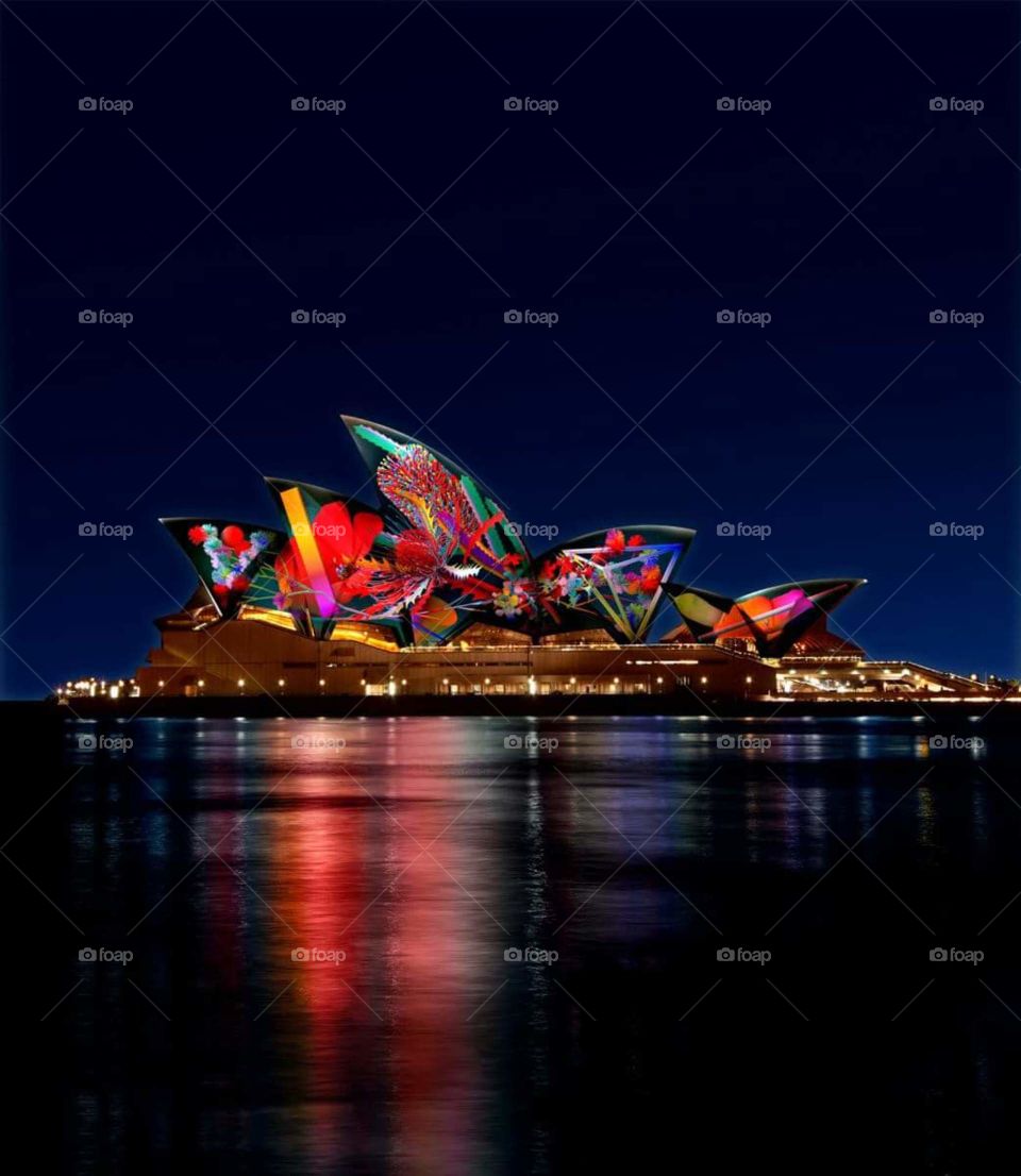 Vivid in Sydney