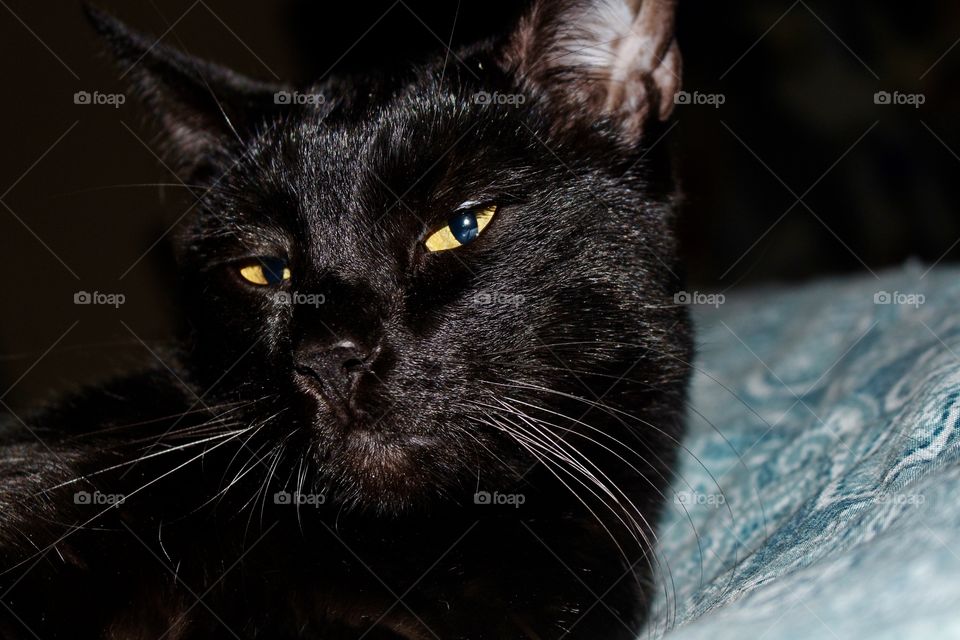 What you looking at 👀