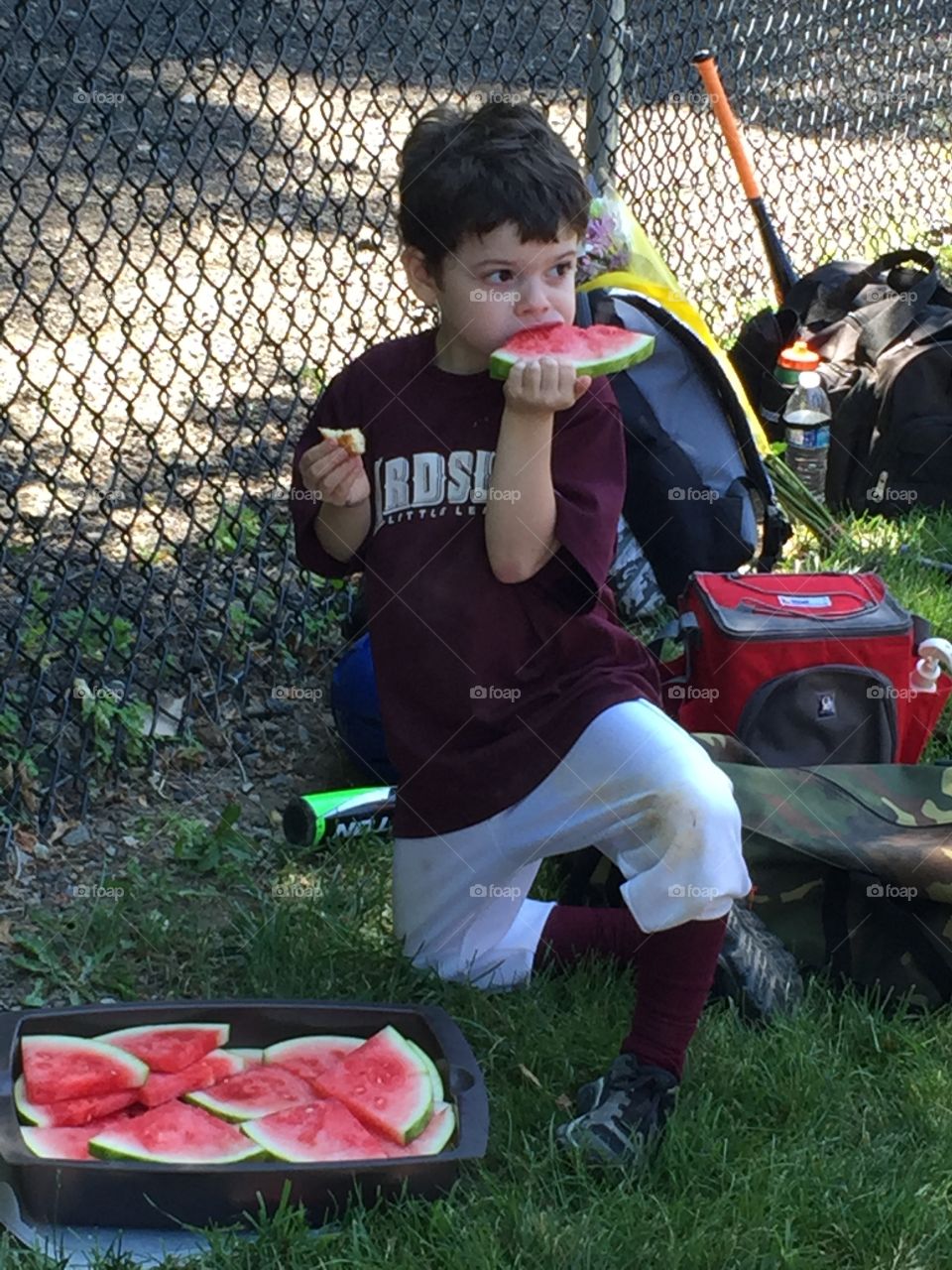 Little boy taking a break from his t-ball baseball game to eat a big slice of watermelon. 