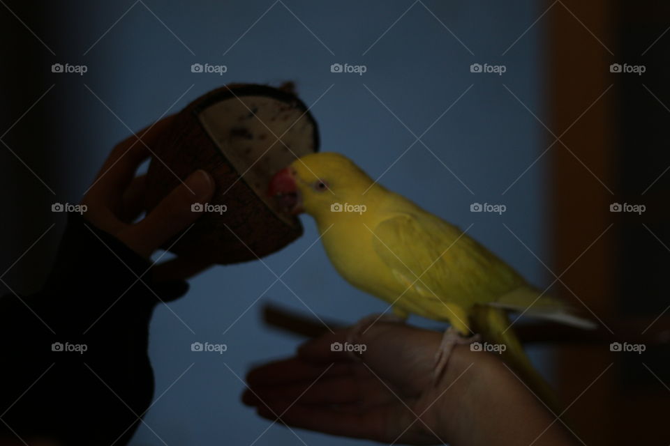 One of the most beautiful animals there is.