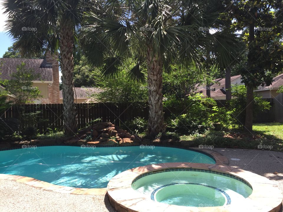 Cool pool in the shade on a hot Houston day. 