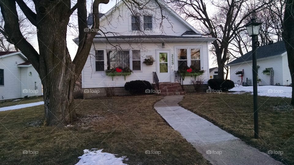 Home, House, No Person, Tree, Architecture