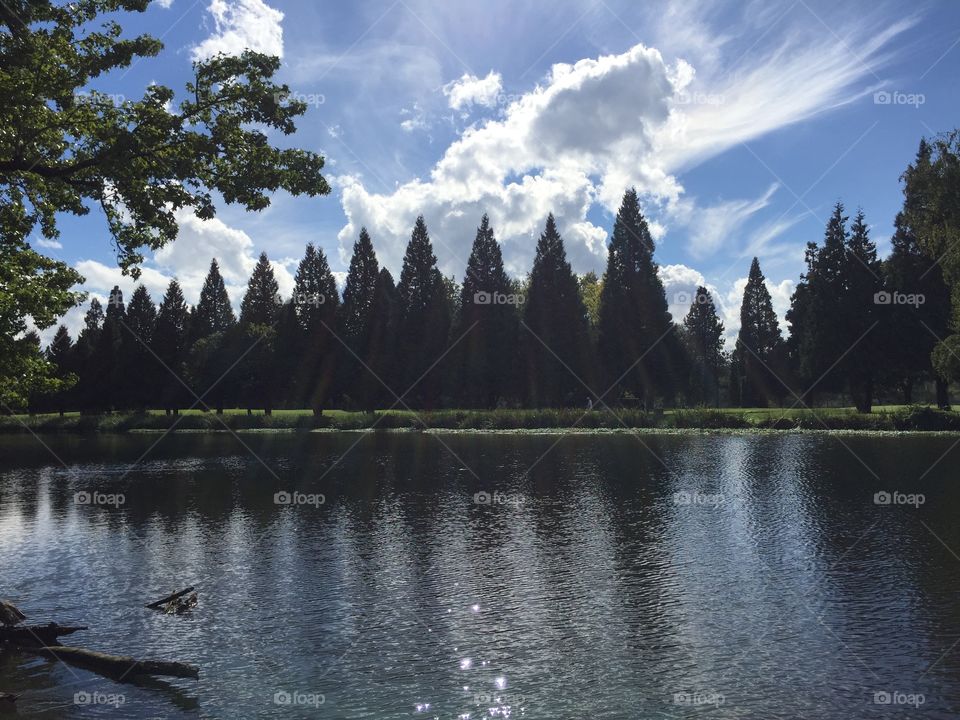 Lake, No Person, Tree, Reflection, Water