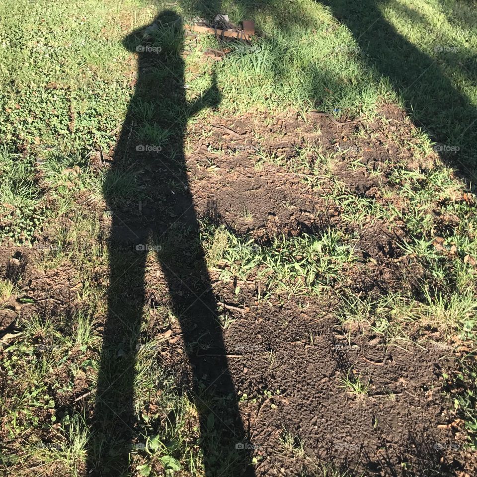 Lady with a beer and shadows following her 
