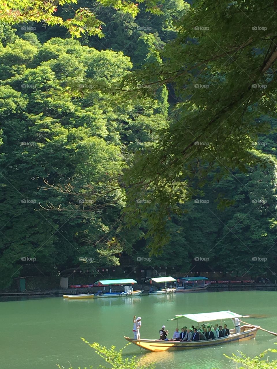 Boats in a forest in Japan
