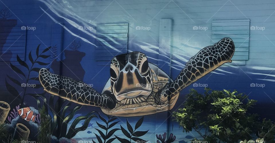 Sea turtle artwork