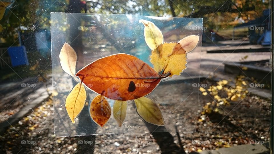 cat made of leafs