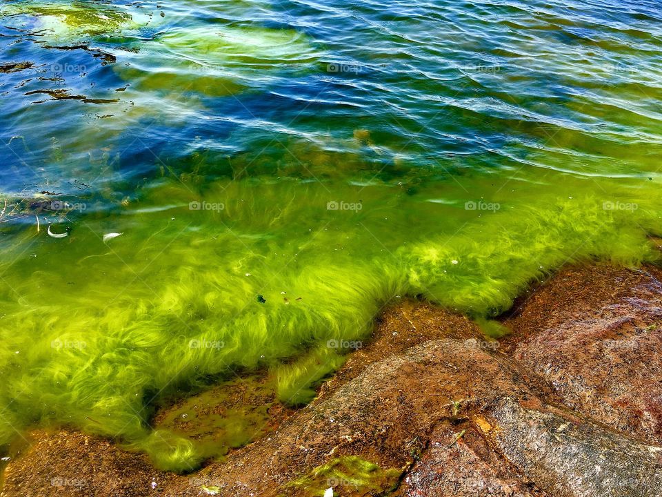 Captured with iPhone 6s Plus