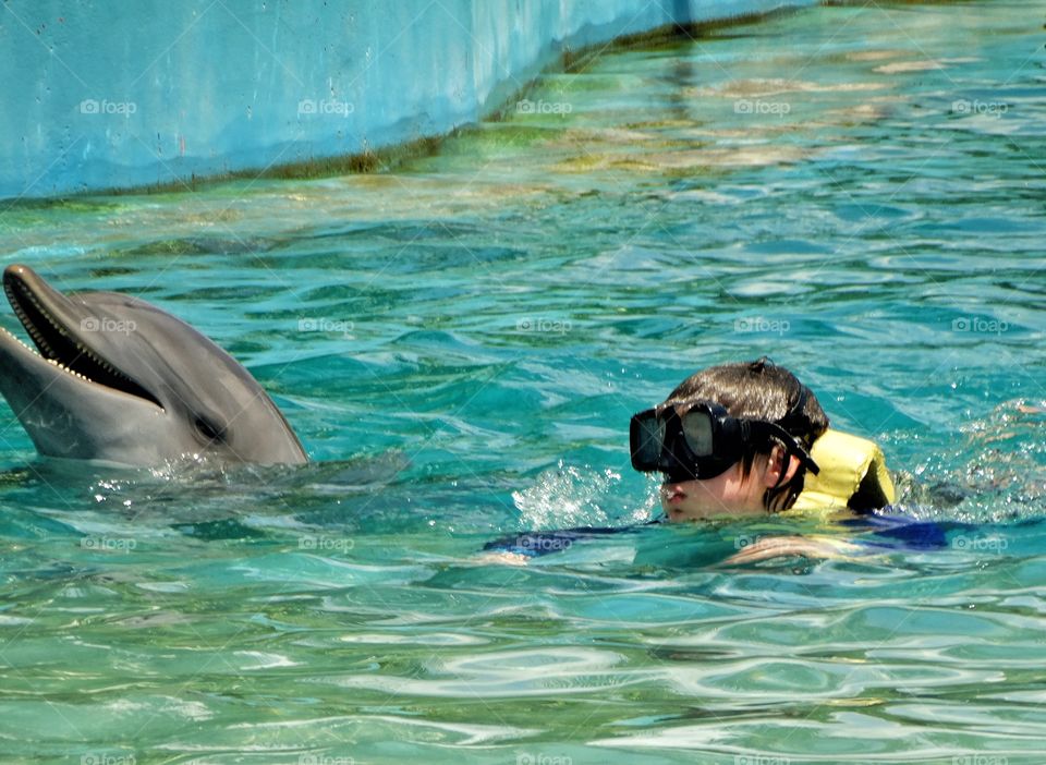 Kids Swimming With Dolphins