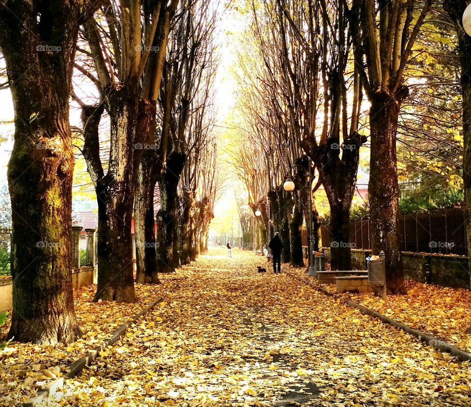 Walking down the street