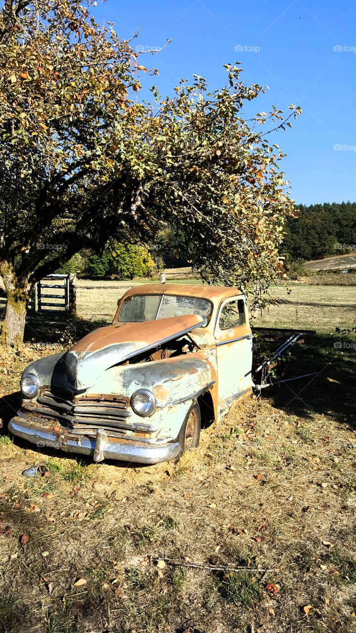 Abandoned Pickup