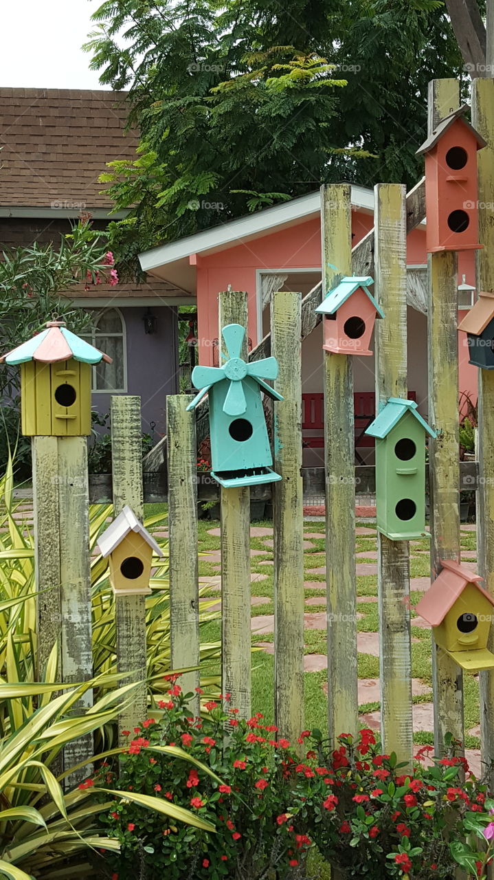 bird  house