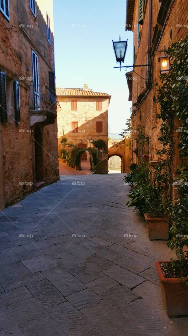 Sunshine on an ivy covered building in a Tuscan alleyway. Take a look inside of cobblestone streets of Tuscany Italy.