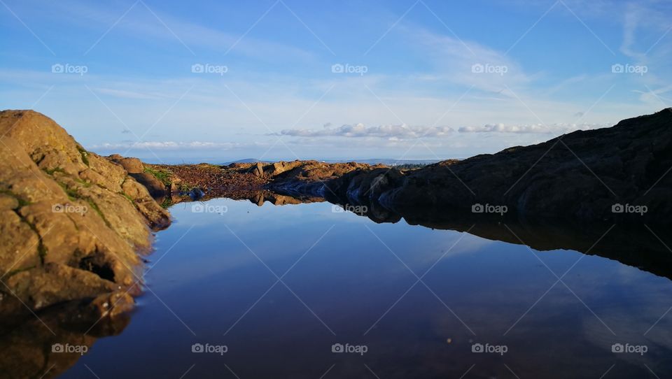 Reflections in a puddle