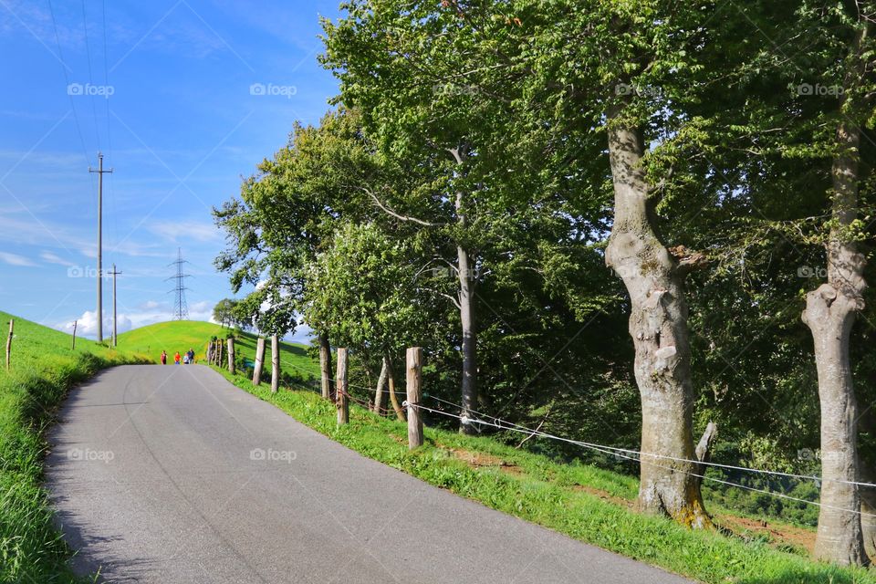 Mountain road in summer time, Italian Alps 