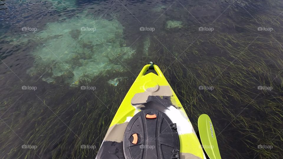 River days. looking down from my kayak awe struck by the crystal clear river. Most rivers in florida are more tea colored.