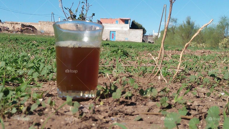 Cup of tea in the middle of a green field.