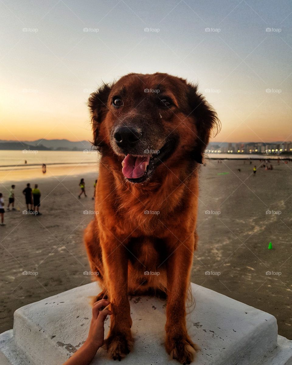 Faísca no final de tarde