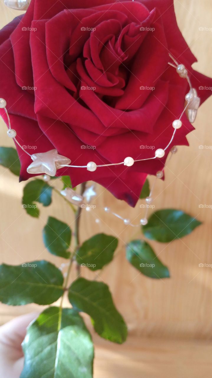 the best gift for a loved one❤