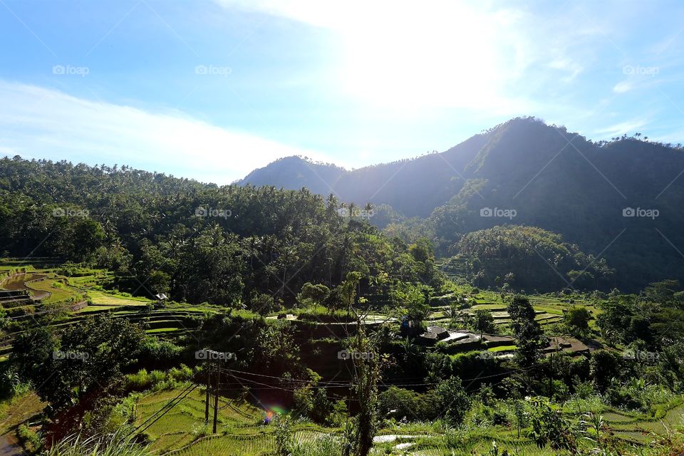 Rice terraces in east Bali, Indonesia