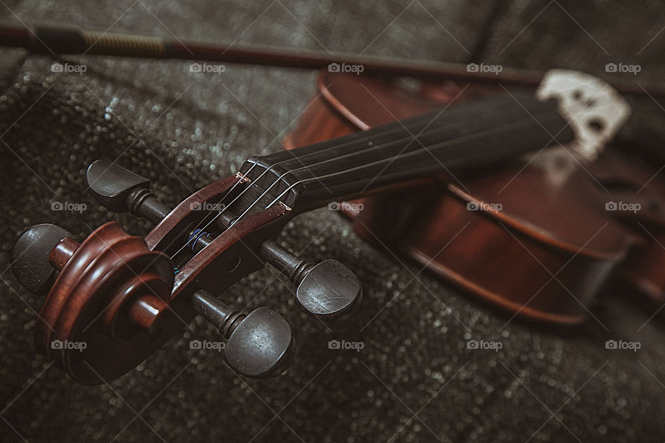 Close-up of violin