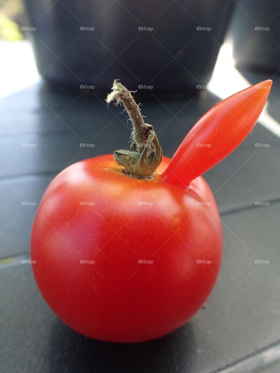 Tomato. From my garden 