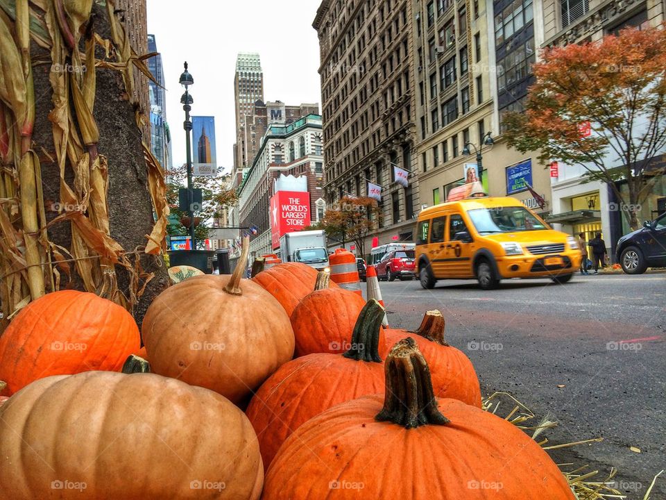 Pumpkins at the streets of New York