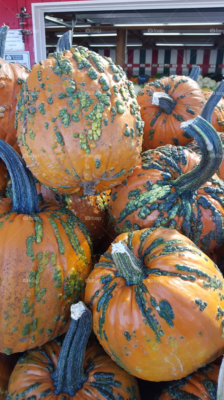 weird pumpkins