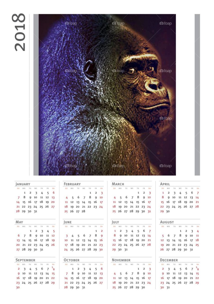 Calendar, Animal, Date, Wildlife, Monkey