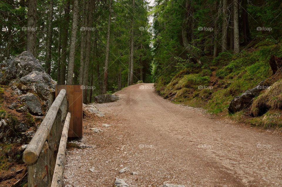 mountain desert trail