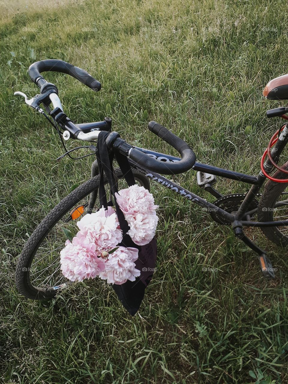 a sports bike with a bag with pink peonies that evokes the emotion of unexpectedness