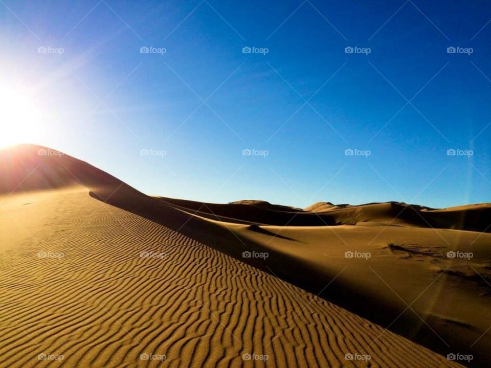 Sahara scenes. Shot while camping in the Sahara desert 
