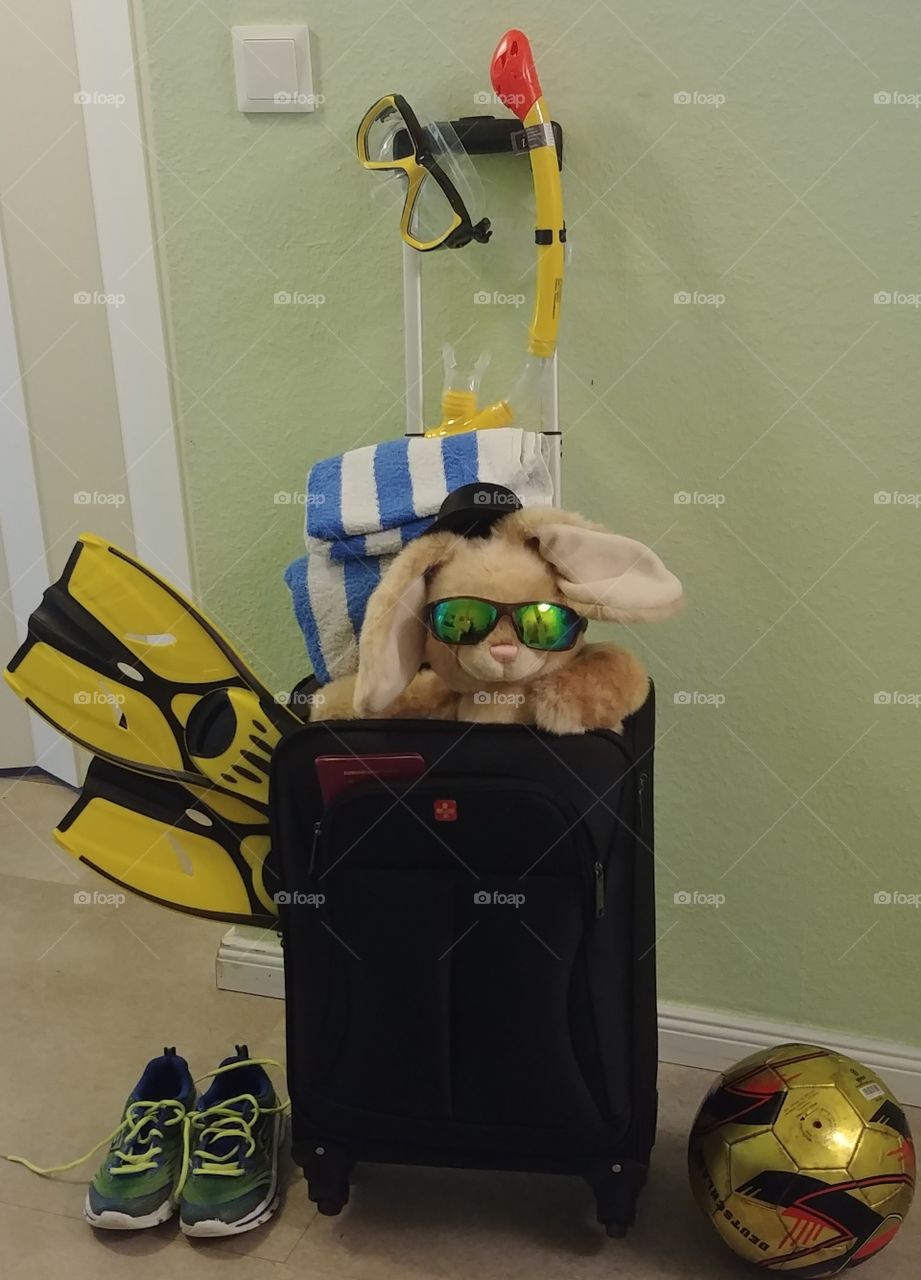 Reise koffer Gepäck holiday