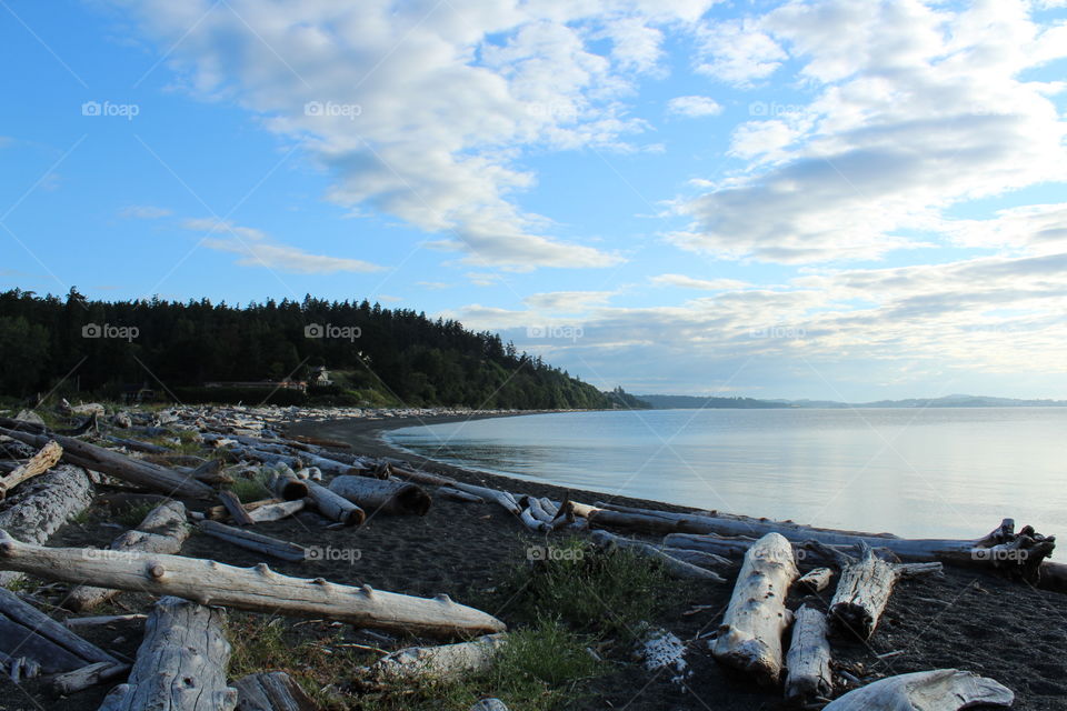 beach at summertime