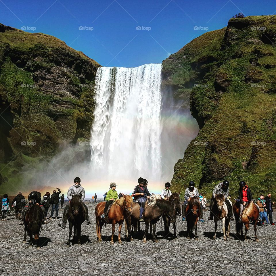 Horses by a waterfall