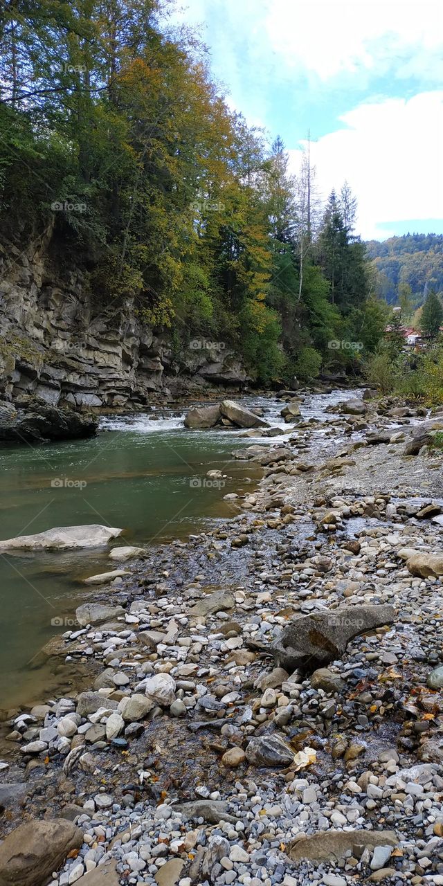 Emerald green mountain river among the stones behind the high mountain, covered with deep pine tree forest. Village at the background. Carpathian mountains autumn landscape.