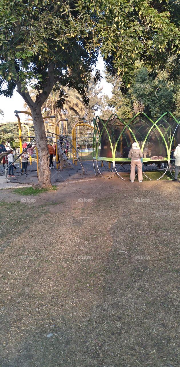 صور منطقة شجرية خيالية تستخدم للتصوير كخلفيات للافراح و مزار راح لمحبي التامل و مشاهدة الجمال الشجري والطبيعة
Pictures of a fictional tree area used for photography as wedding backgrounds and a shrine for lovers of contemplation and watching tree bea