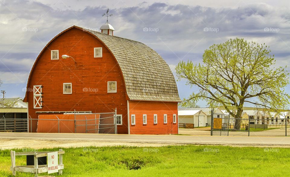 The Red Barn. The memory of time 