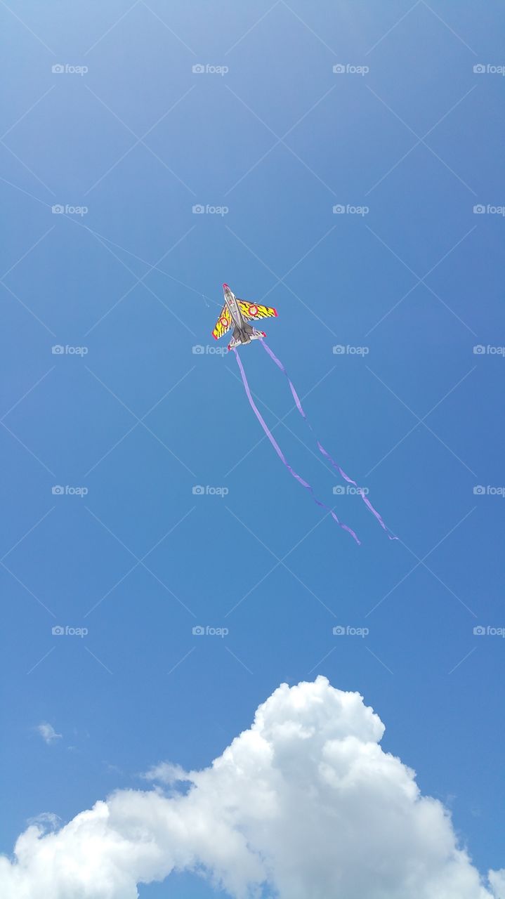 kite. flying a kite at the beach