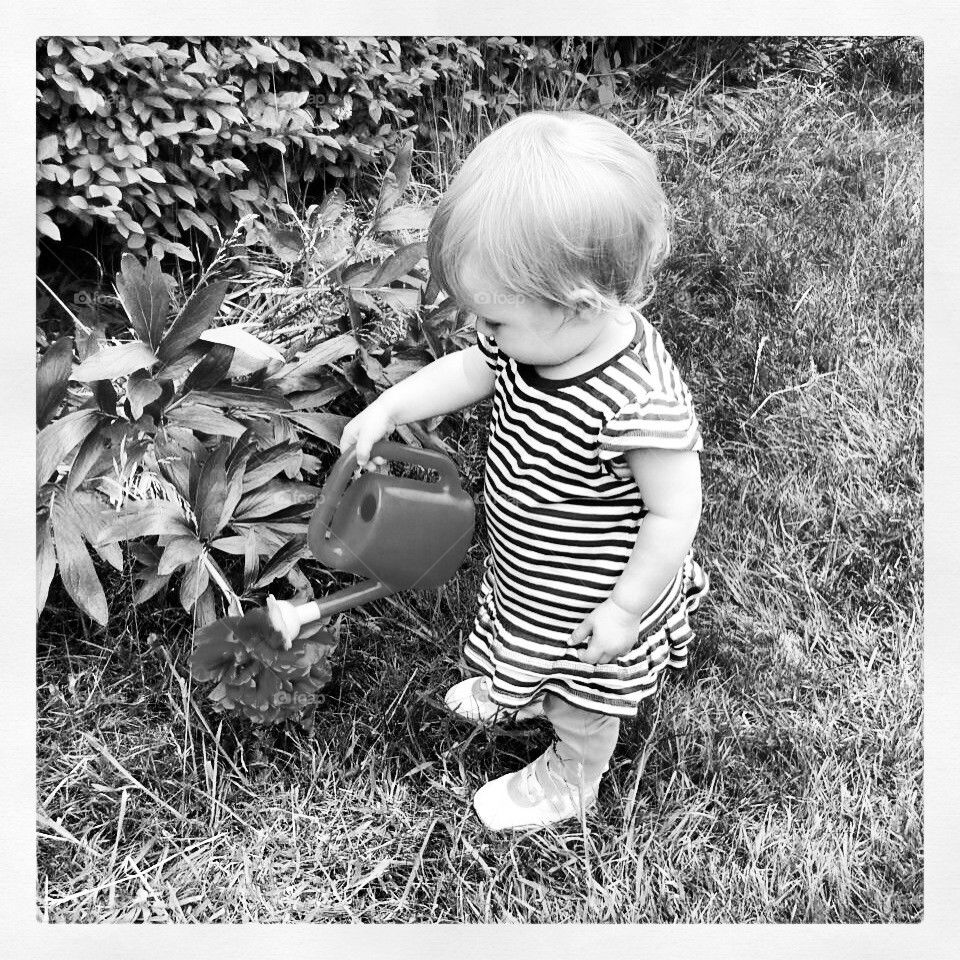 Watering the garden, little girl style!