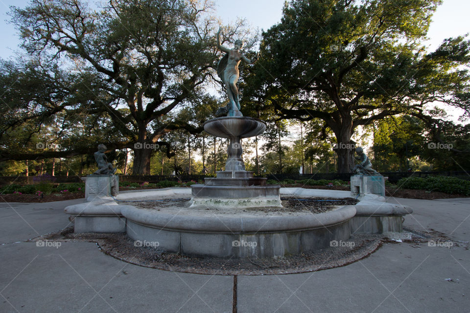 Tree, Park, Garden, Fountain, No Person