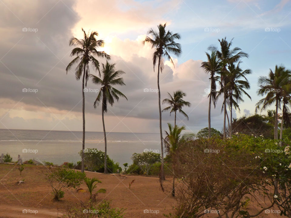 ocean coast palms kenya by trvldeb07