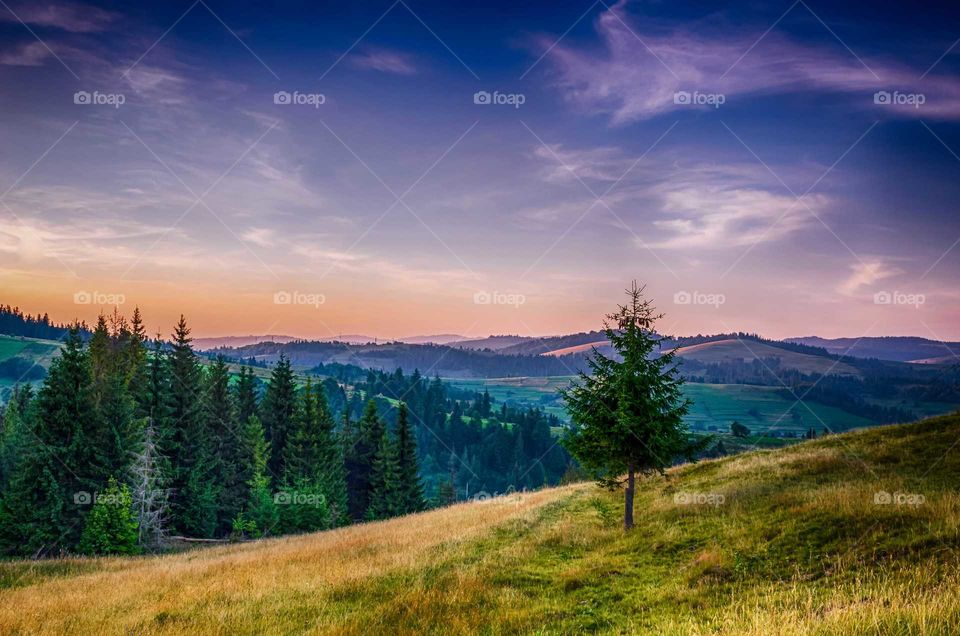 Ukrainian Carpathian Mountains during sunset