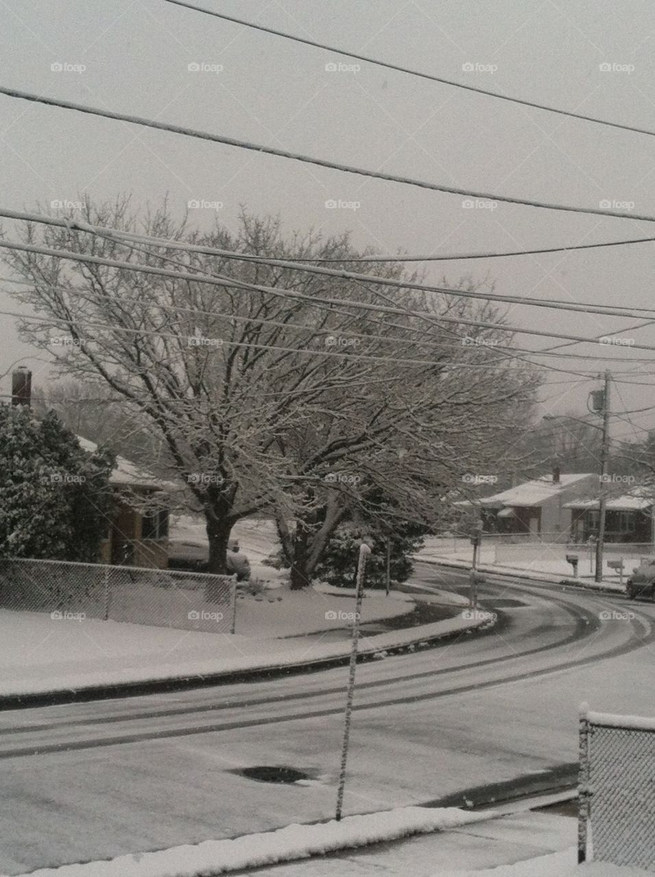 snow winter by 0susan0