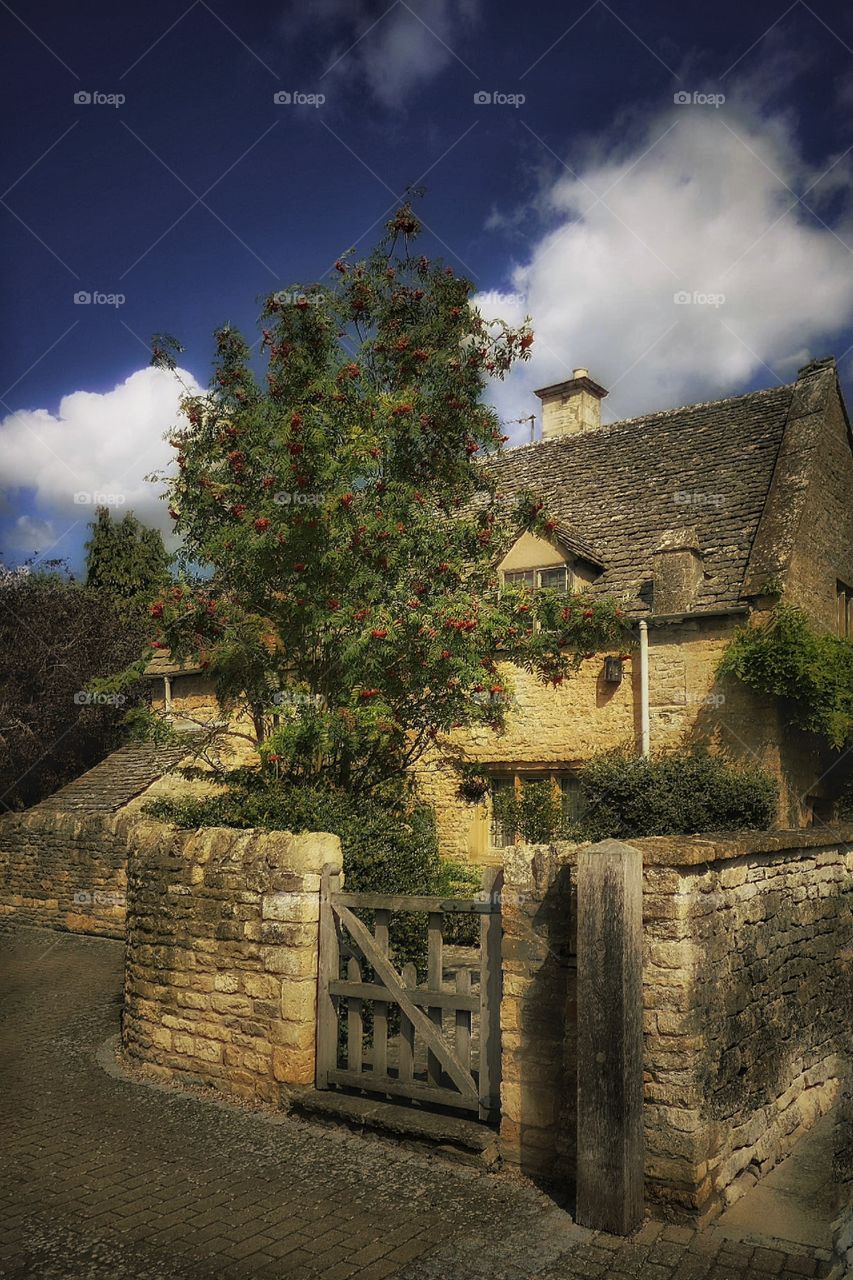 Cottage. Cotswolds