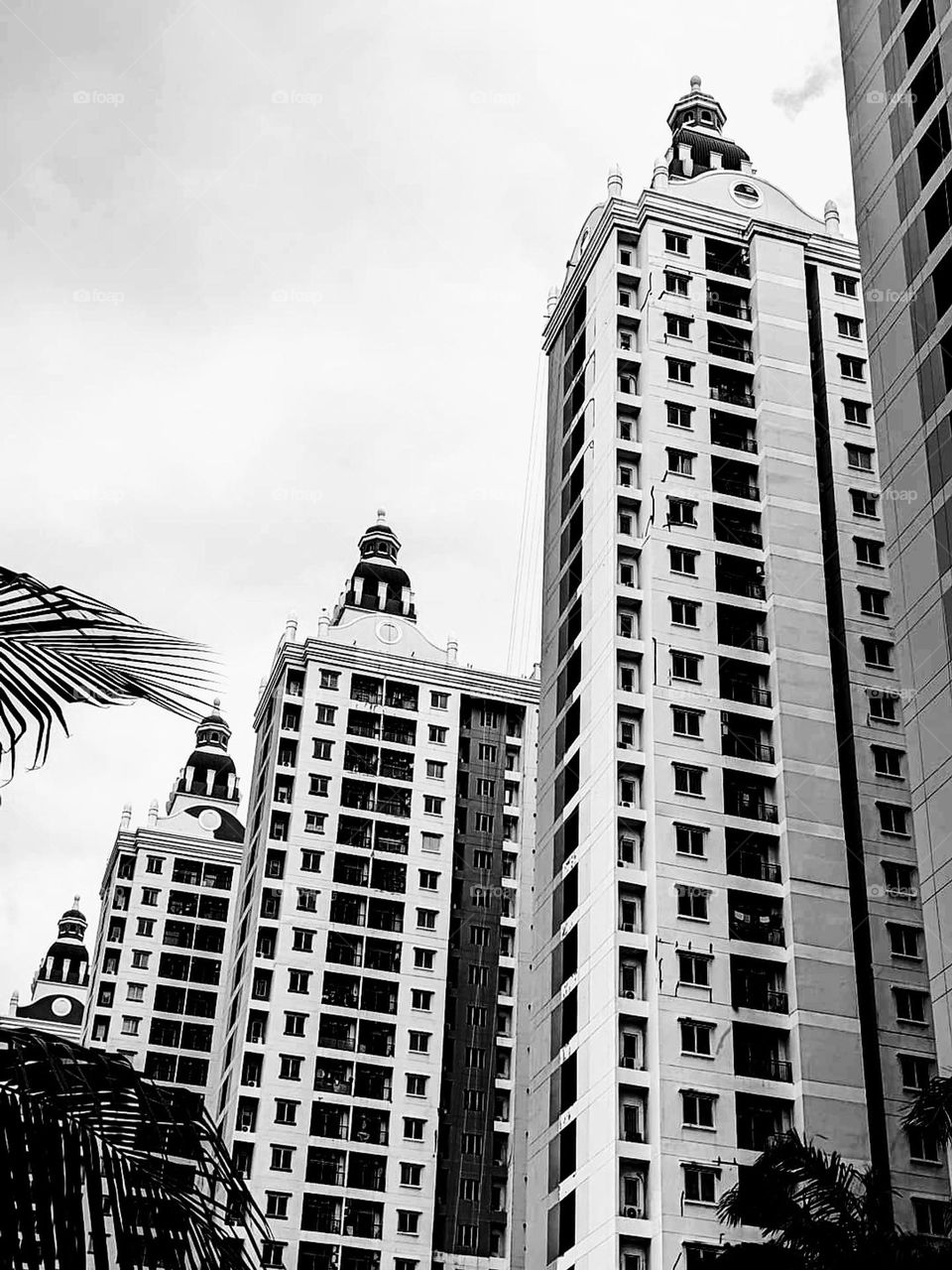 black and white portrait of a building