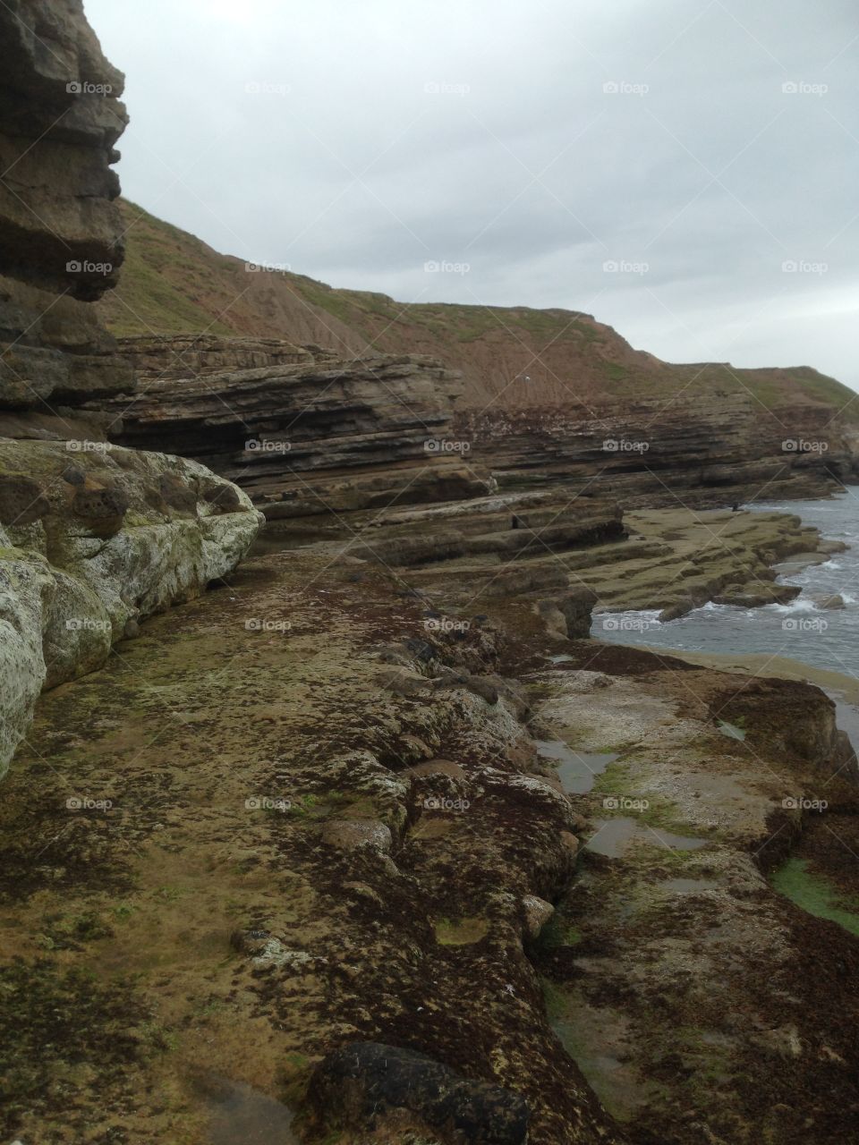 Sea cliffs