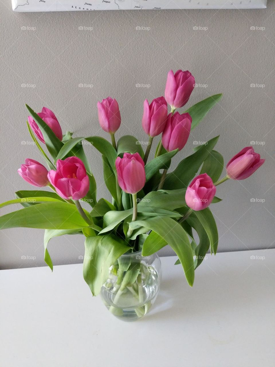Vase of pink tulips